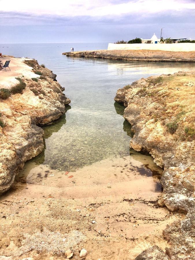 Almarea Blu - Appartamento In Villa Vicino Al Mare - Affitto Breve Polignano a Mare Eksteriør bilde