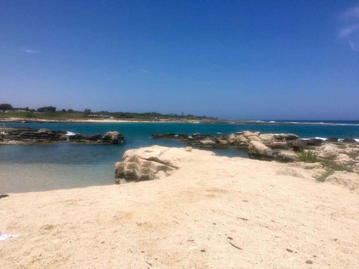 Almarea Blu - Appartamento In Villa Vicino Al Mare - Affitto Breve Polignano a Mare Eksteriør bilde